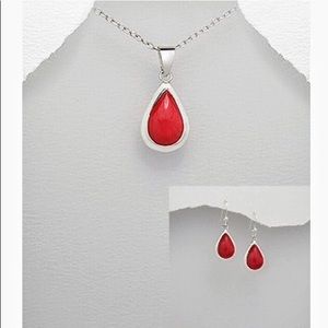 ❤️925ss necklace and earrings red resin